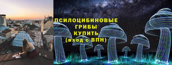 ПСИЛОЦИБИНОВЫЕ ГРИБЫ Белоозёрский