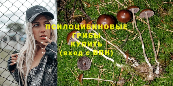 ПСИЛОЦИБИНОВЫЕ ГРИБЫ Белоозёрский